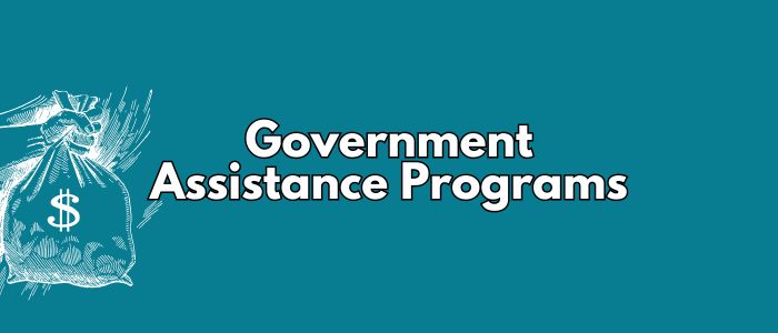 government assistance programs